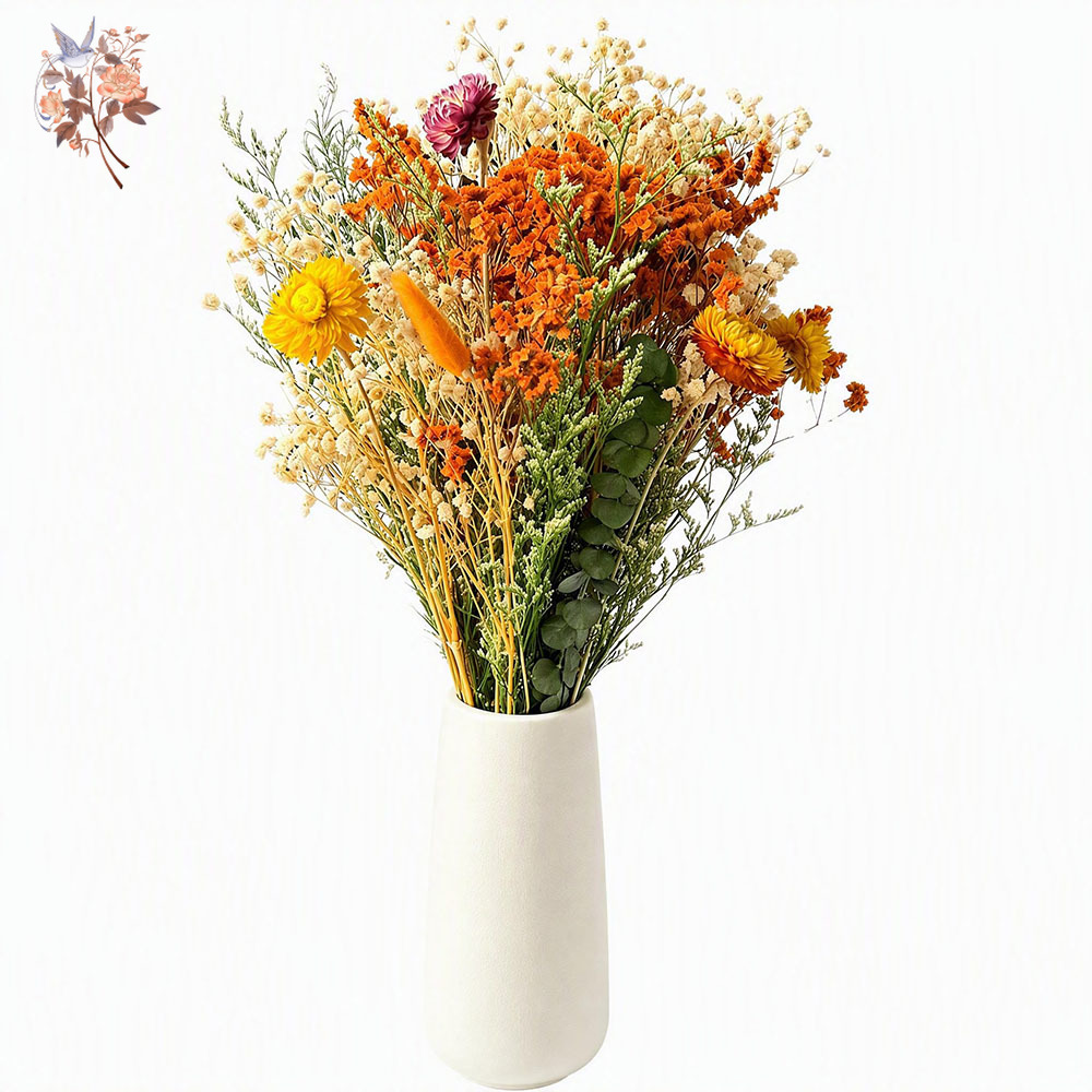 Bouquet de fleurs séchées d'au - Pampas Grass Decor avis et prix