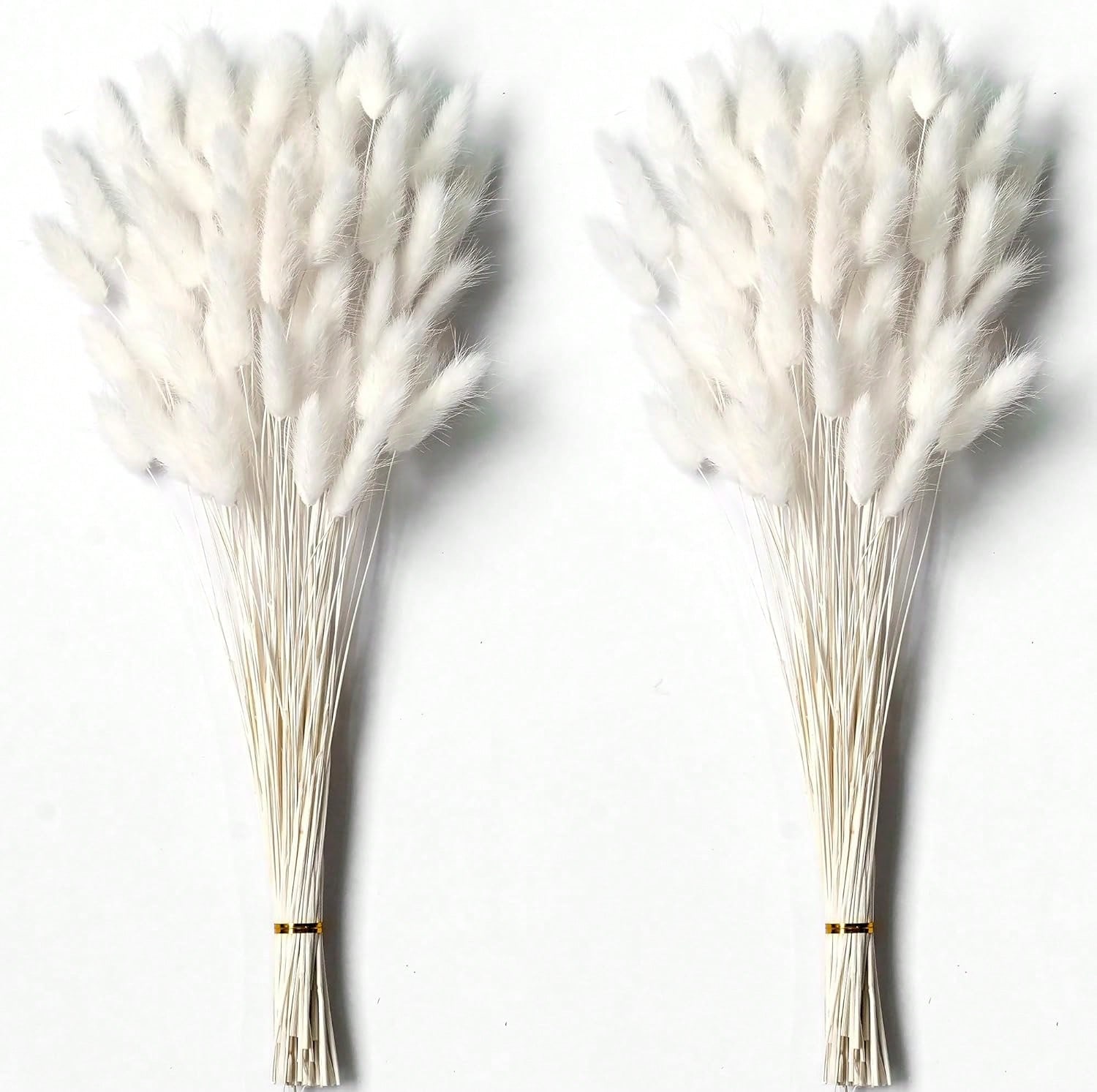 120 pièces d'herbe de Pampa sé - Pampas Grass Decor avis et prix