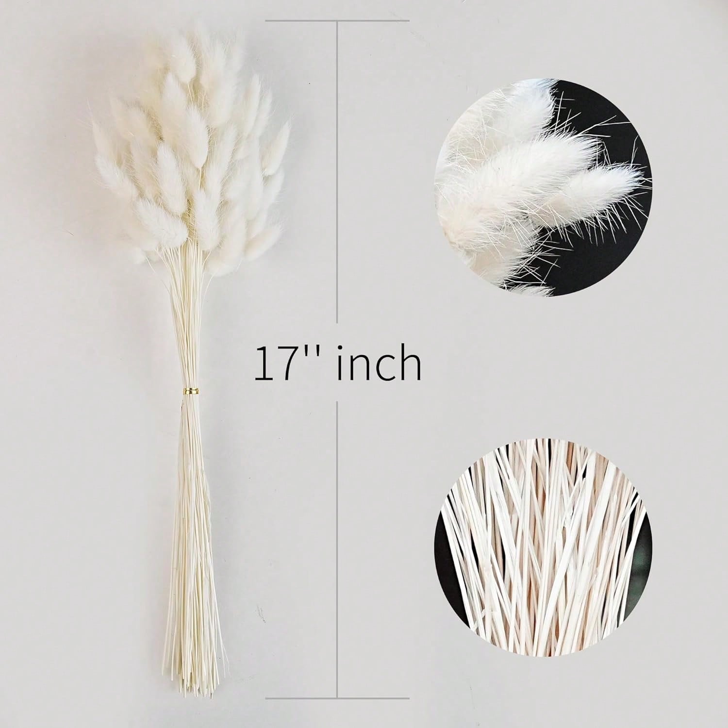 120 pièces d'herbe de Pampa sé - Pampas Grass Decor avis et prix